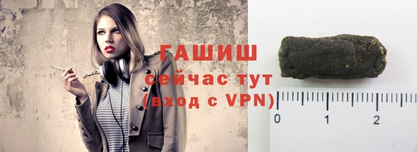 гашик Алексин