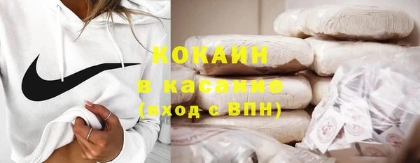 гашик Алексин