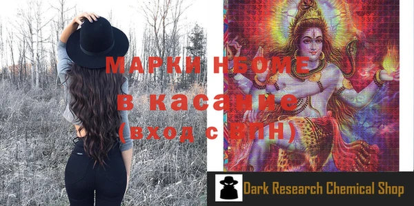 гашик Алексин