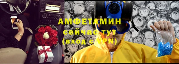 гашик Алексин