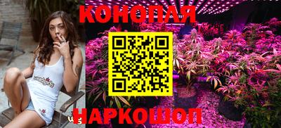 шишки Когалым
