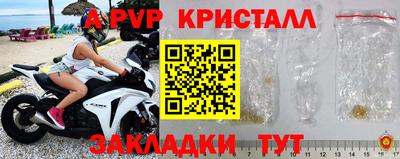 шишки Когалым