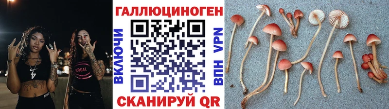 Галлюциногенные грибы мицелий  где купить наркоту  MEGA ссылка  Переславль-Залесский 