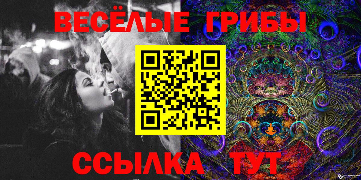 Переславль-Залесский  Галлюциногенные грибы Psilocybine cubensis  Псилоцибиновые грибы мухоморы  Вход с VPN 