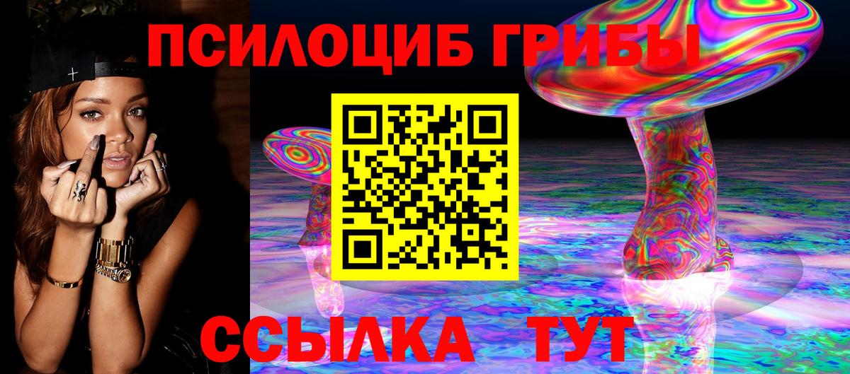 Псилоцибиновые грибы мицелий Переславль-Залесский